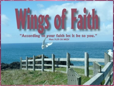 WINGS OF FAITH AND LANDING IN A NEW PLACE