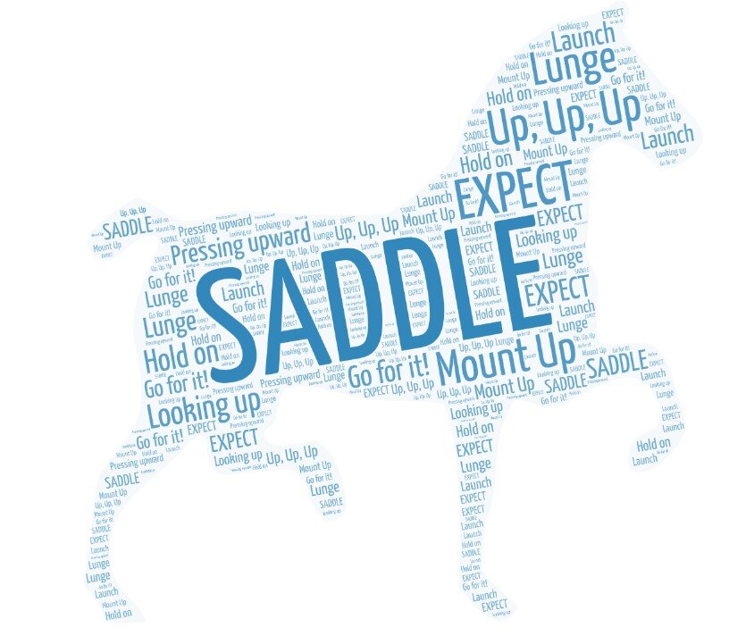 Saddle